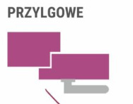 Drzwi Wewnętrzne Kubus Szklone Voster Przylgowe/ Bezprzylgowe Kolory