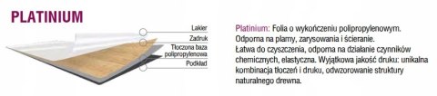 Drzwi Szklone LOFT 40 Biały Mat Szyba Mleczna Szprosy 90 Prawe OUTLET