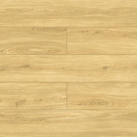 Panele podłogowe Dąb Rita AC5 10mm D40614 Swiss Krono Bella Platinium