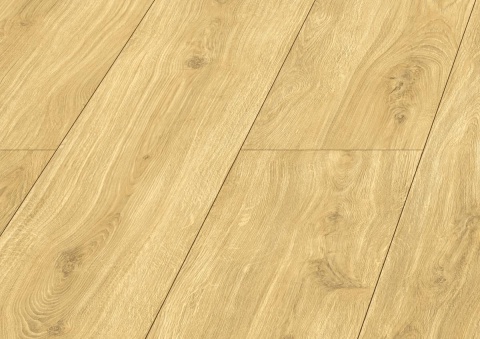 Panele podłogowe Dąb Rita AC5 10mm D40614 Swiss Krono Bella Platinium