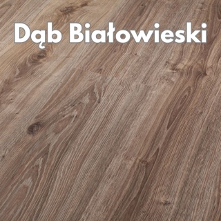 Panele podłogowe Dąb Białowieski AC4 8mm Power Plus Persecto