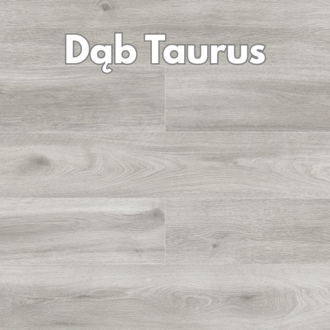 Panele podłogowe Dąb Taurus AC5 10mm symbol D4570 Swiss Krono Zodiak Platinium