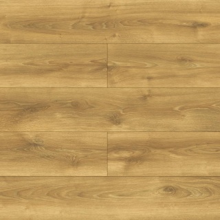 Panele podłogowe Dąb Alodia AC5 10mm D40634 Swiss Krono Bella Platinium