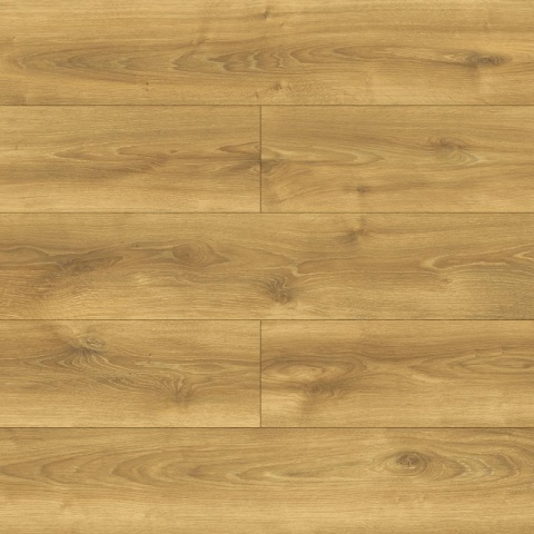 Panele podłogowe Dąb Alodia AC5 10mm D40634 Swiss Krono Bella Platinium