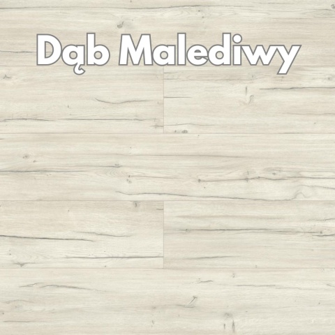 Panele podłogowe Dąb Malediwy AC5 8mm D40214 Swiss Krono Holiday Platinium