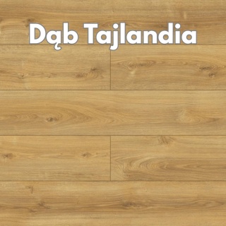 Panele podłogowe Dąb Tajlandia AC5 8mm D40164 Swiss Krono Holiday Platinium