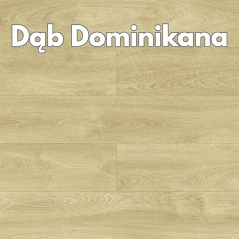 Panele podłogowe Dąb Dominikana AC5 8mm D40104 Swiss Krono Holiday Platinium