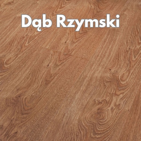 Panele podłogowe Dąb Rzymski AC4 8mm Power Plus Persecto