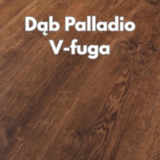 Panele podłogowe Dąb Palladio AC4 8mm Power V Persecto