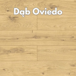 Panele podłogowe Dąb Oviedo AC4 8mm symbol D50524 Swiss Krono Platinium Exclusive