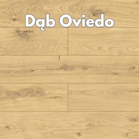 Panele podłogowe Dąb Oviedo AC4 8mm symbol D50524 Swiss Krono Platinium Exclusive