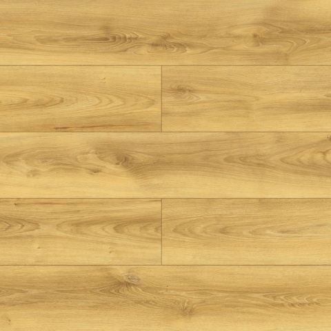 Panele podłogowe Dąb Colletta AC5 10mm D40614 Swiss Krono Bella Platinium