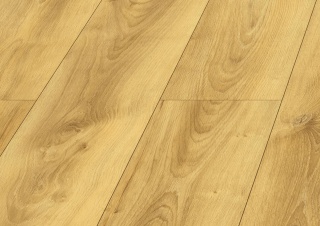 Panele podłogowe Dąb Colletta AC5 10mm D40614 Swiss Krono Bella Platinium