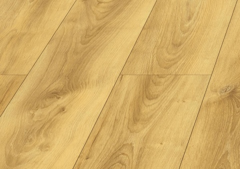 Panele podłogowe Dąb Colletta AC5 10mm D40614 Swiss Krono Bella Platinium
