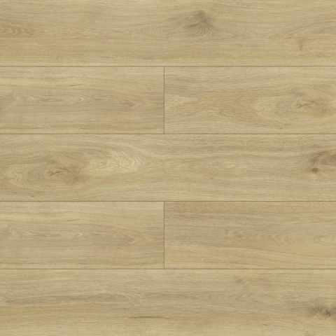 Panele podłogowe Dąb di Trevi AC5 8mm Swiss Krono Terra Platinium
