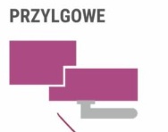 Drzwi Wewnętrzne Lupus Szklone Voster Przylgowe / Bezprzylgowe Kolory