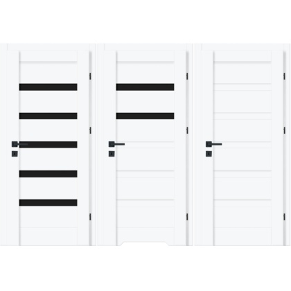 Drzwi Fresno Ramowe Białe Czarna Szyba | NA MAGAZYNIE z ościeżnicą opcja