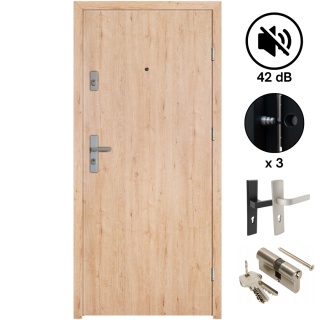 Drzwi Wejściowe do Mieszkań 42 dB Komplet Seguro Plus Różne Kolory Komplet