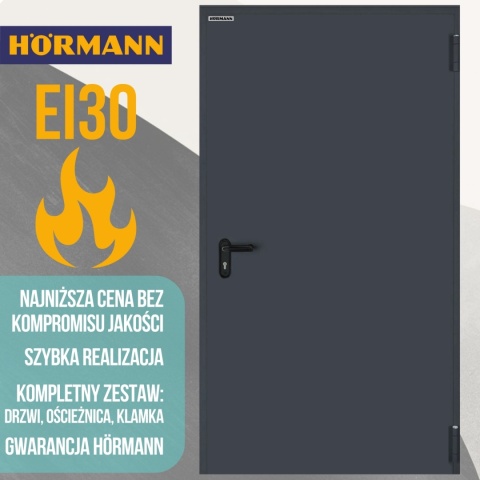 Przeciwpożarowe techniczne drzwi stalowe EI30 antracyt RAL7016 Drzwi EI30 przeciwpożarowe techniczne stalowe antracyt RAL7016 Stalowe przeciwpożarowe EI30 drzwi techniczne antracyt RAL7016 Antracyt RAL7016 drzwi techniczne stalowe przeciwpożarowe EI30