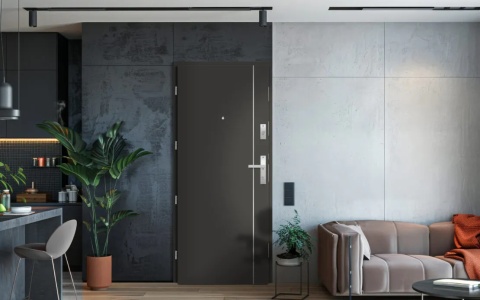 Drzwi Wejściowe do Mieszkań Erkado Forteca RC2 Kolory Modele