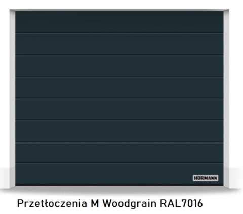 Garage Door 2315 × 1900 Hörmann RenoMatic Sectional – Various Colours