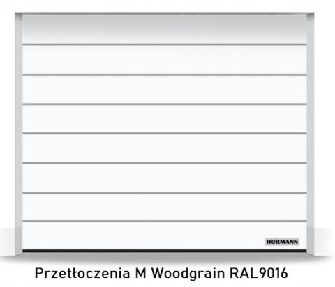 Garage Door 2315 × 1900 Hörmann RenoMatic Sectional – Various Colours