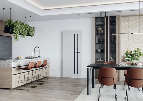 Drzwi Evi Bezprzylgowe Ramowe | Z ościeżnicą | Różne kolory | Wewnętrzne | Modele