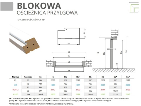 Drzwi Classic 10 Przylgowe H200 | Różne kolory | Ościeżnica opcja | Solidne | Ramowe