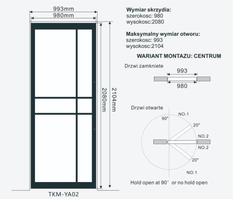 PIVOT SWING LOFT GLASS DOOR 98x208 CM BLACK ALUMINIUM FRAME